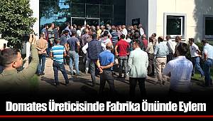 Domates Üreticisinde Fabrika Önünde Eylem