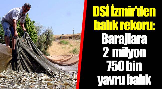 DSİ İzmir’den balık rekoru: Barajlara 2 milyon 750 bin yavru balık