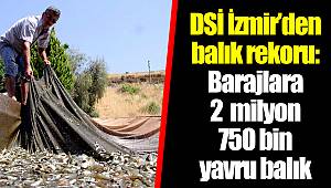 DSİ İzmir’den balık rekoru: Barajlara 2  milyon 750 bin yavru balık 