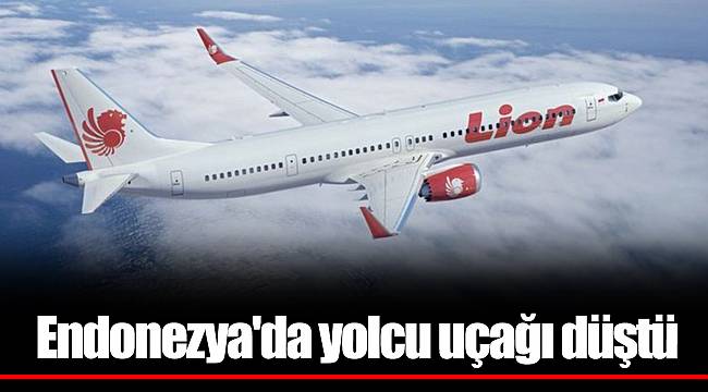 Endonezya'da yolcu uçağı düştü