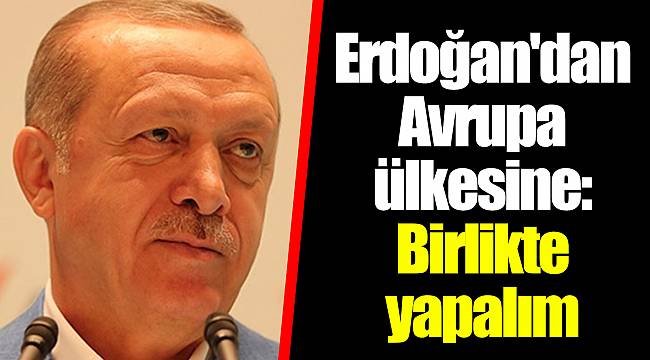 Erdoğan'dan Avrupa ülkesine: Birlikte yapalım
