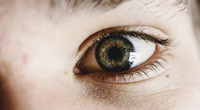 Görme bozukluklarının tedavisi için retina üretildi
