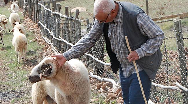 Hayvanların geldiği yöne doğru gittiğinde korkunç manzarayla karşılaştı