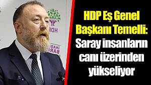 HDP Eş Genel Başkanı Temelli: Saray insanların canı üzerinden yükseliyor
