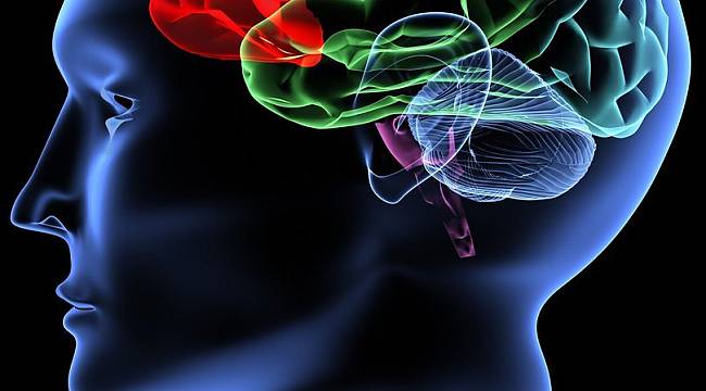 İTÜ'lü bilim insanlarının Alzheimer araştırmaları bilimsel makalelere konu edildi