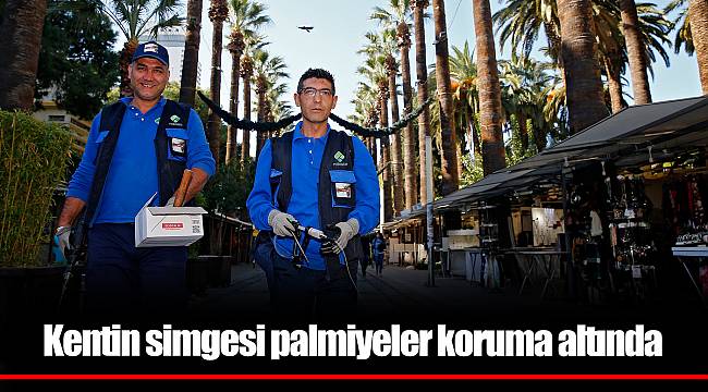 Kentin simgesi palmiyeler koruma altında