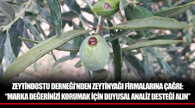 “MARKA DEĞERİNİZİ KORUMAK İÇİN DUYUSAL ANALİZ DESTEĞİ ALIN”