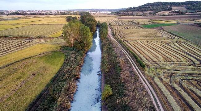 Meriç Deresi, fabrika atıklarıyla kirli akıyor iddiası