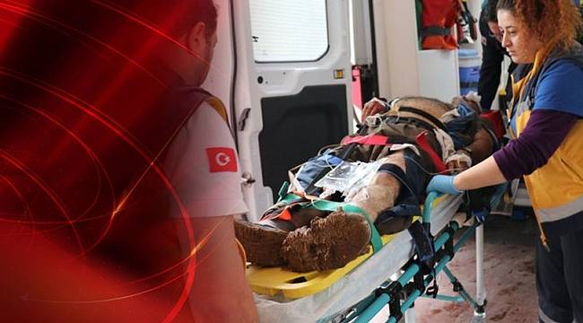 Öğreciler için kendini feda etti