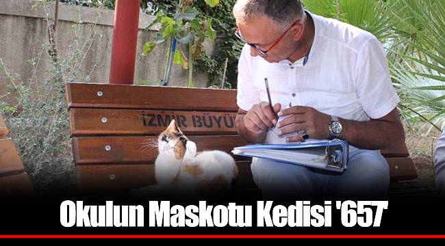 Okulun Maskotu Kedisi '657'