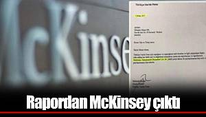 Rapordan McKinsey çıktı