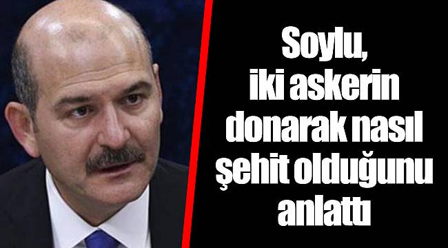 Soylu, iki askerin donarak nasıl şehit olduğunu anlattı