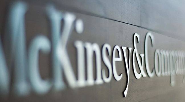 Stratejist Timothy Ash, Erdoğan'ın McKinsey kararını yorumladı: Umalım ki…