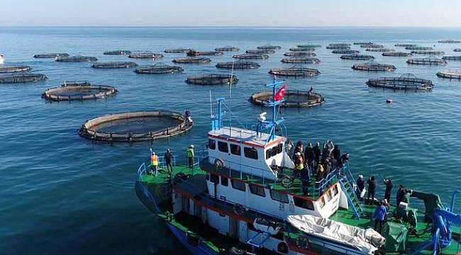 Su ürünlerinde ABD'ye 100 milyon dolarlık ihracat hedefi