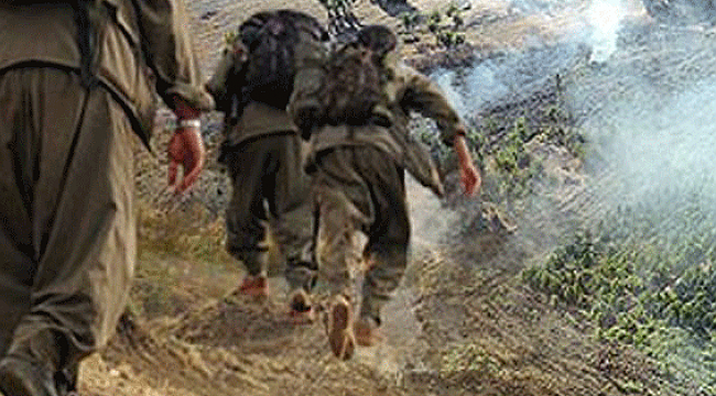 Terör örgütü PKK'ya büyük darbe! Serbest Paksoy ve Selçuk Köse öldürüldü