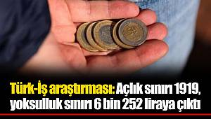 Türk-İş araştırması: Açlık sınırı 1919, yoksulluk sınırı 6 bin 252 liraya çıktı