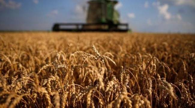 Türkiye, ilk kez Rusya'dan ruble ile buğday alacak