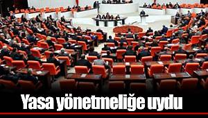 Yasa yönetmeliğe uydu