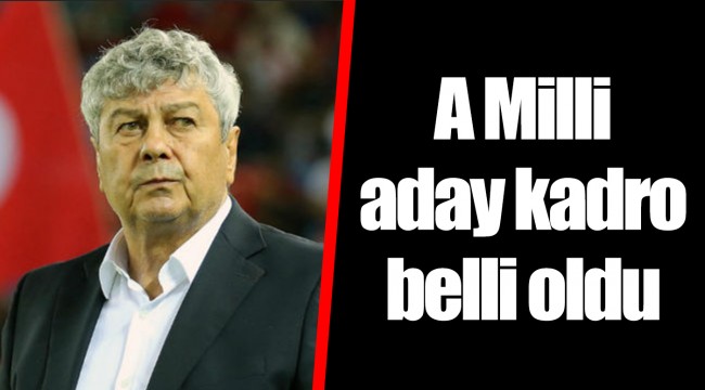 A Milli aday kadro belli oldu