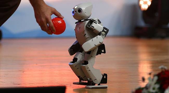 AB üyesi ülke robotlara vatandaşlık verecek!