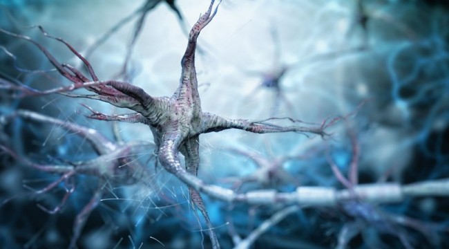 ABD'de yapılan araştırma Parkinson ile apandisit arasında ilişki buldu