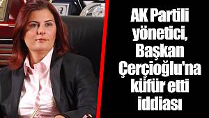 AK Partili yönetici, Başkan Çerçioğlu'na küfür etti iddiası