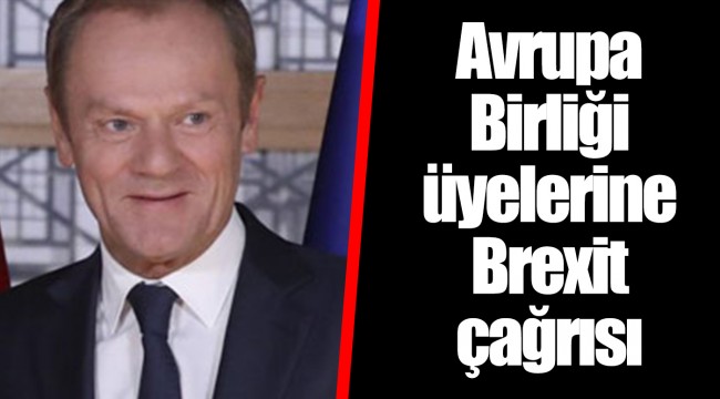 Avrupa Birliği üyelerine Brexit çağrısı