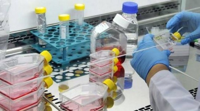 Biyobenzer İlaçların Hastalara ve Ekonomiye Katkısı Büyük