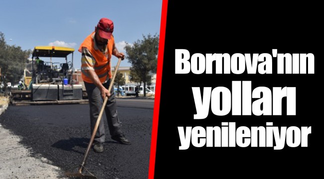 Bornova'nın yolları yenileniyor