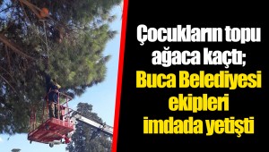 Çocukların topu ağaca kaçtı; Buca Belediyesi ekipleri imdada yetişti