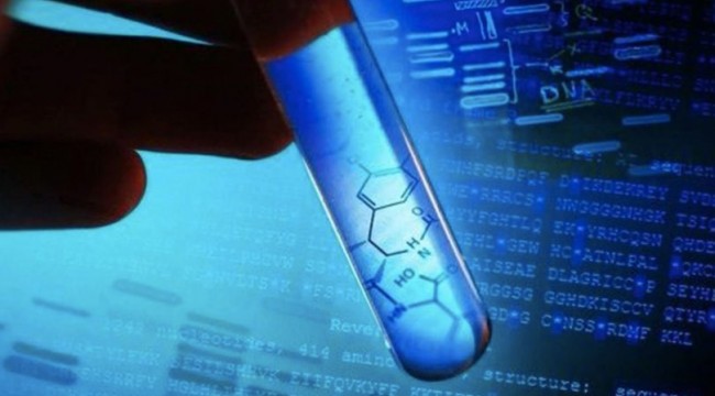 DNA testleri de Black Friday ile indirime gitti!