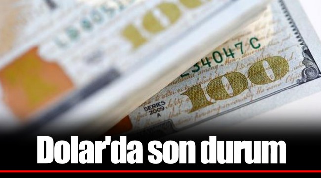 Dolar'da son durum