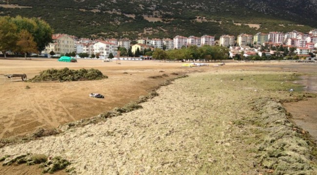 Eğirdir Gölü'nde 'kuruma' tehlikesi