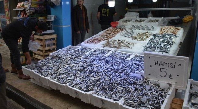 Hamsi fiyatları çakıldı!
