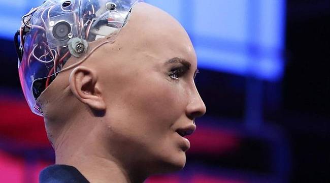 İşte ‘robot vizesi’nin ilk sahibi