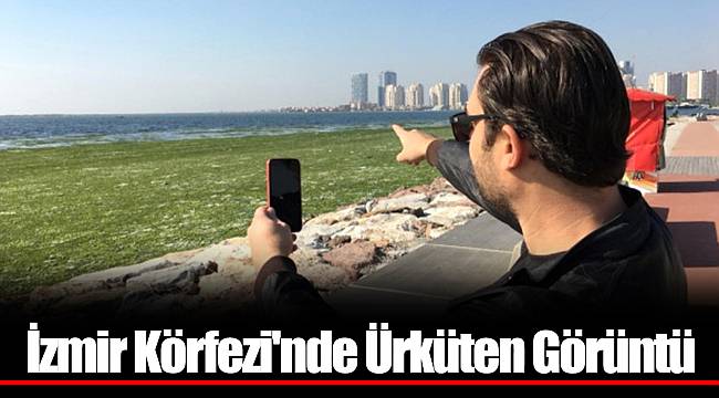 İzmir Körfezi'nde Ürküten Görüntü