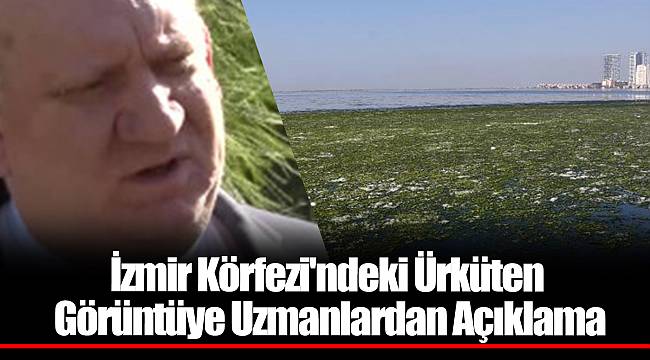 İzmir Körfezi'ndeki Ürküten Görüntüye Uzmanlardan Açıklama