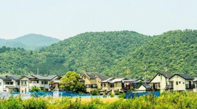 Japonya'da 'bedava ev' ilanları: Turistler ilgi gösteriyor