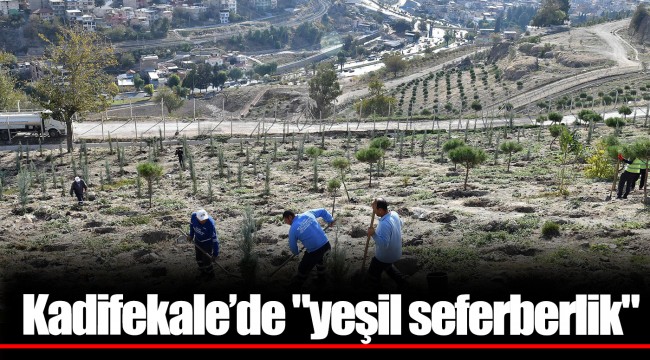 Kadifekale’de "yeşil seferberlik"