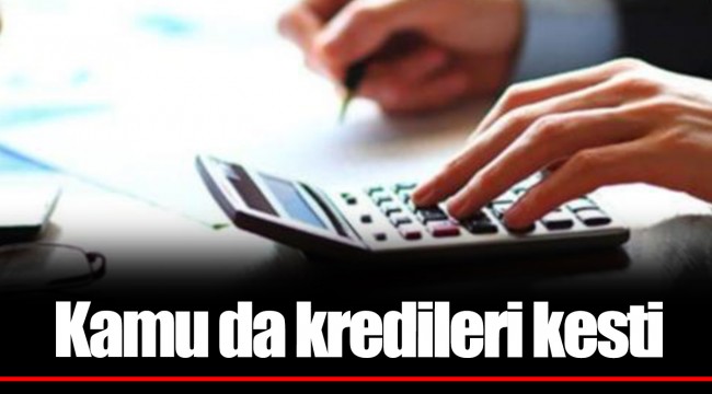 Kamu da kredileri kesti