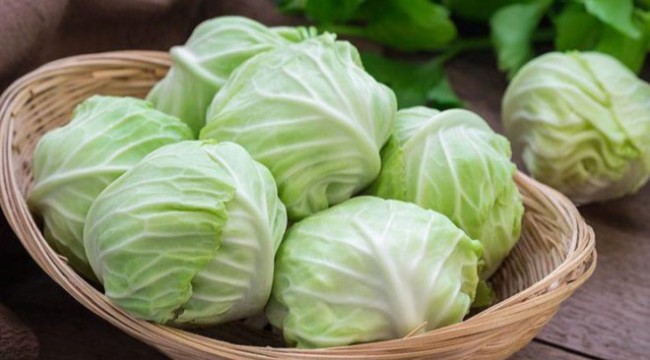 KIŞ AYLARINDA İÇİLDİĞİNDE GÖBEK ERİTİYOR! İŞTE MUCİZEVİ LAHANA ÇAYI