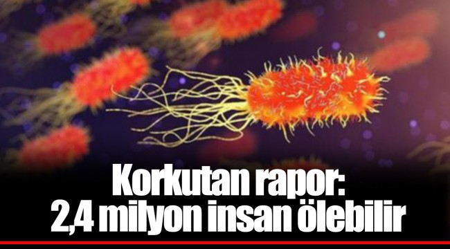 Korkutan rapor: 2,4 milyon insan ölebilir
