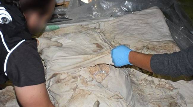 Koyun postundan 521 kilo uyuşturucu hap çıktı!