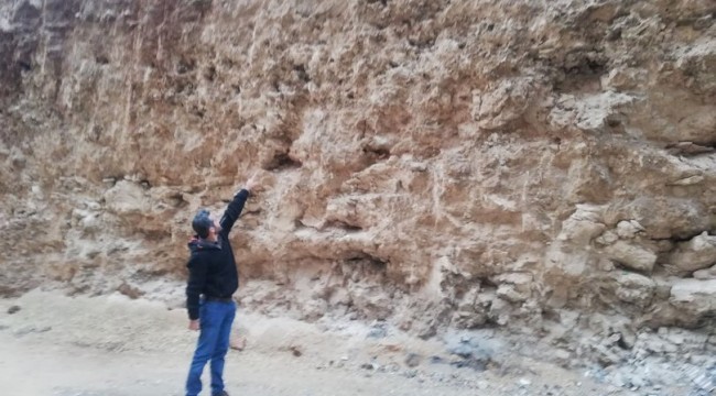 Mardin’de dinozor fosili bulunduğu iddiası vatandaşları heyecanlandırdı