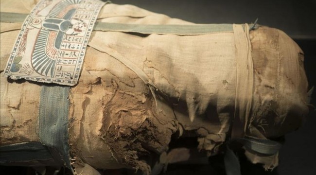Mısır'da 3 bin yıl öncesine ait 8 mumya bulundu