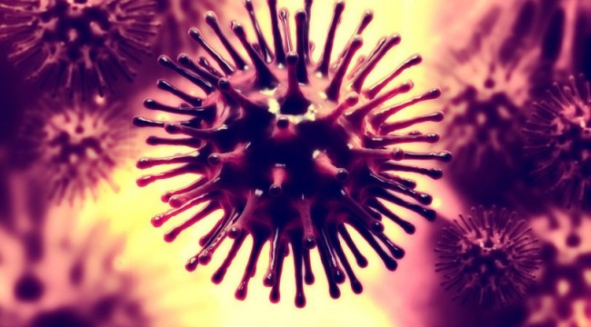 OECD "antibiyotiklere dirençli bakteriler" konusunda uyardı: Dünya risk altında!