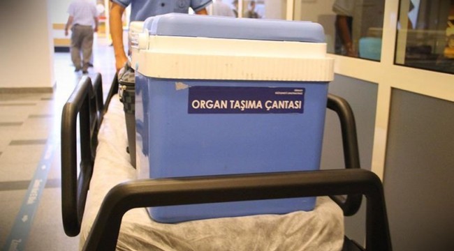Organ nakli umudu yaşam süresini uzatıyor