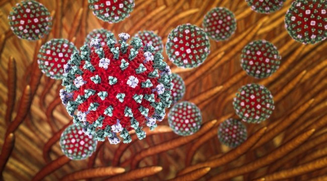 "Sigarayı bırakma süresi arttıkça kanser riski azalıyor"