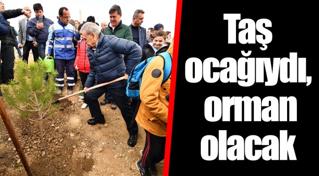 Taş ocağıydı, orman olacak