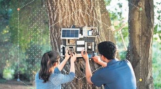 Yapay zekâ araştırmasına 25 milyon $’lık ödül